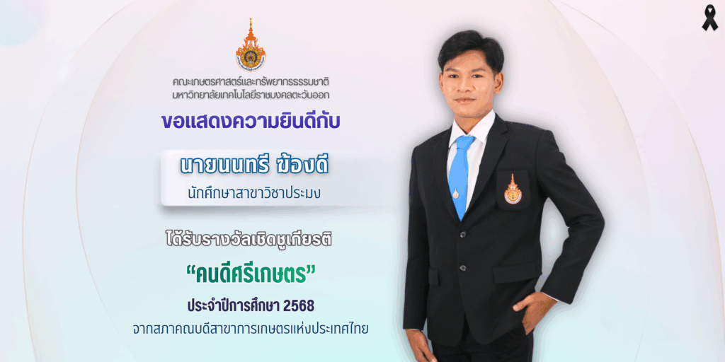 สีม่วง สีฟ้า โมเดิร์น การตลาด โฆษณา แบนเนอร์แนวนอน